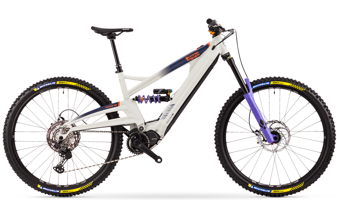 Phase 29 Team - 2022