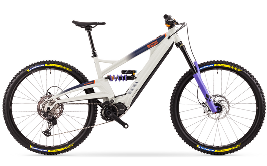 Phase 29 Team - 2022
