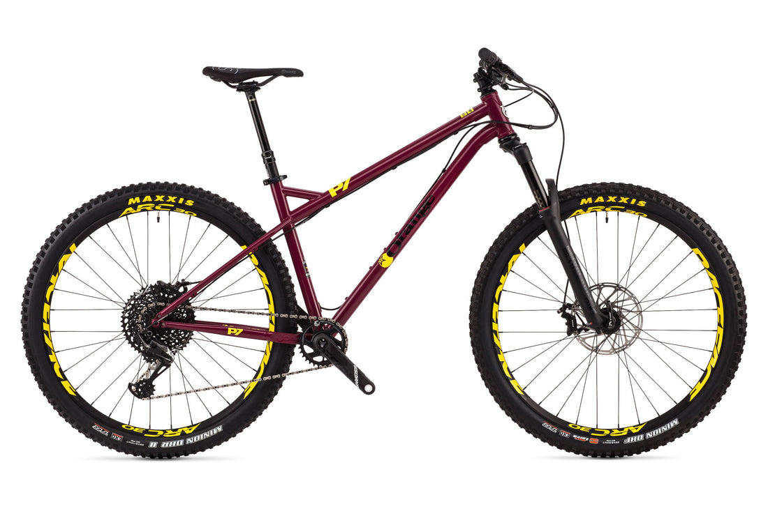 P7 29 RS - 2019