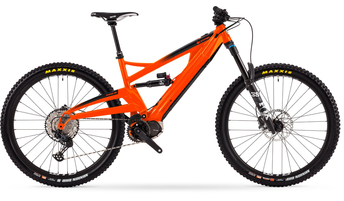 Phase 29 Pro - 2021