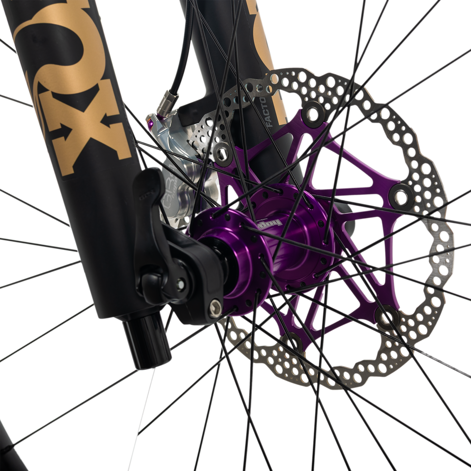 Phase Prestige