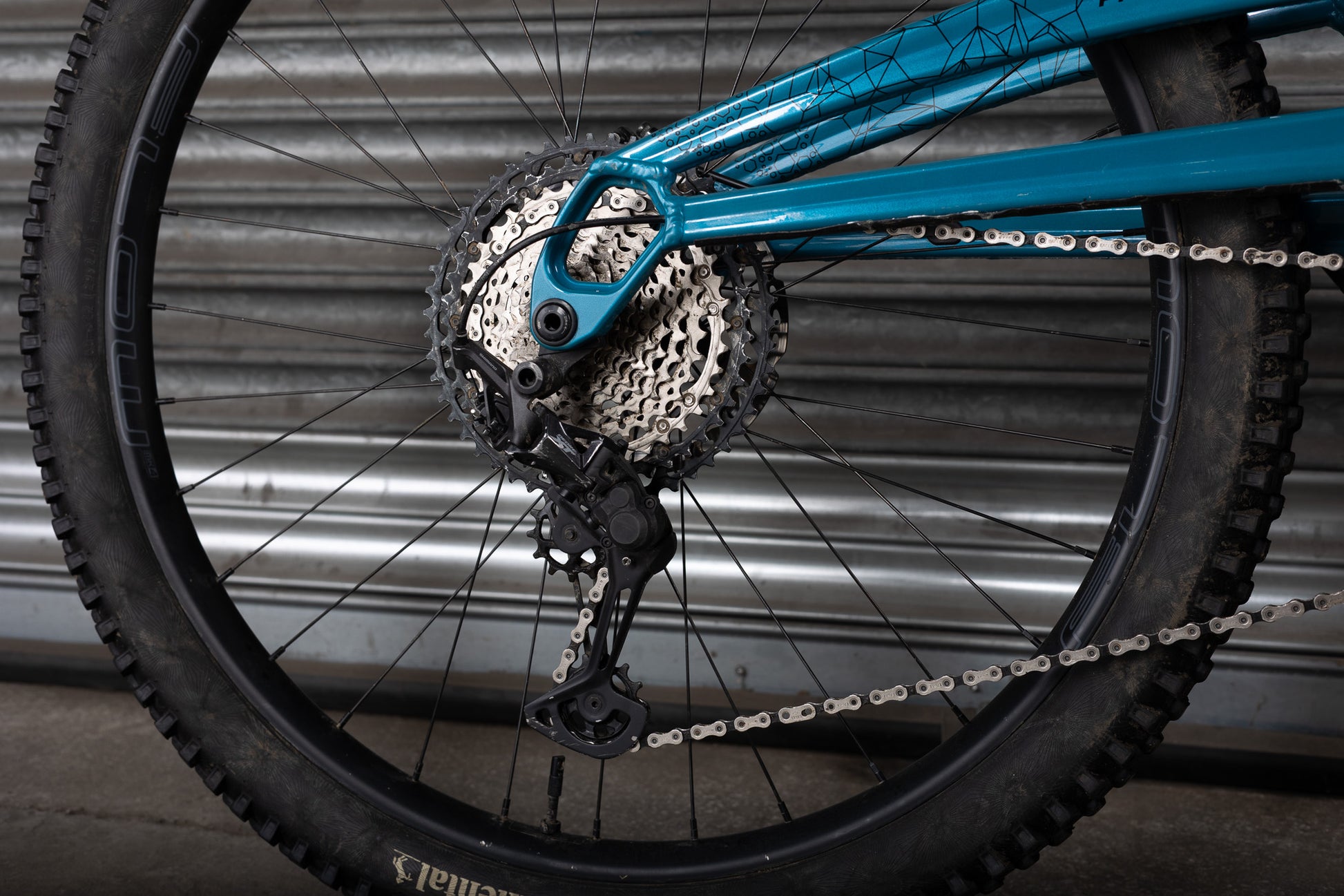 Ex-Demo 2025 Phase Evo 29 Factory, Large, Yorkshire Teal - Orange Bikes