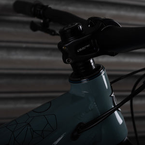 Ex-Demo 2025 Switch 7 SE, Medium, Earl Grey - Orange Bikes